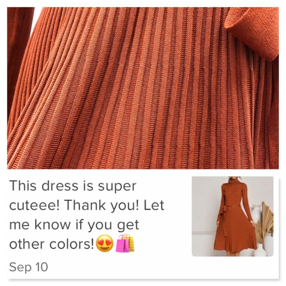 Pumpkin Orange Turtleneck Knit Belted Dress - Picture 15 of 16